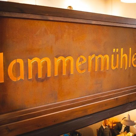 Hessischer Hof Ober-Ramstadt Exteriér fotografie